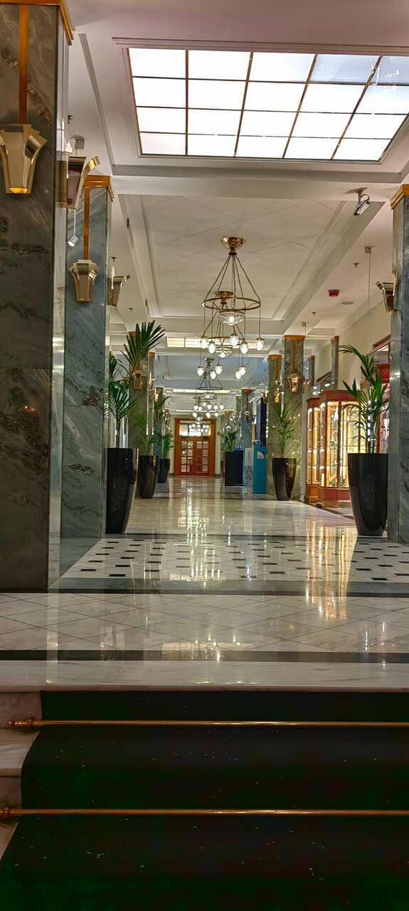 Гостиница Гранд Отель Европа Санкт-Петербург-245