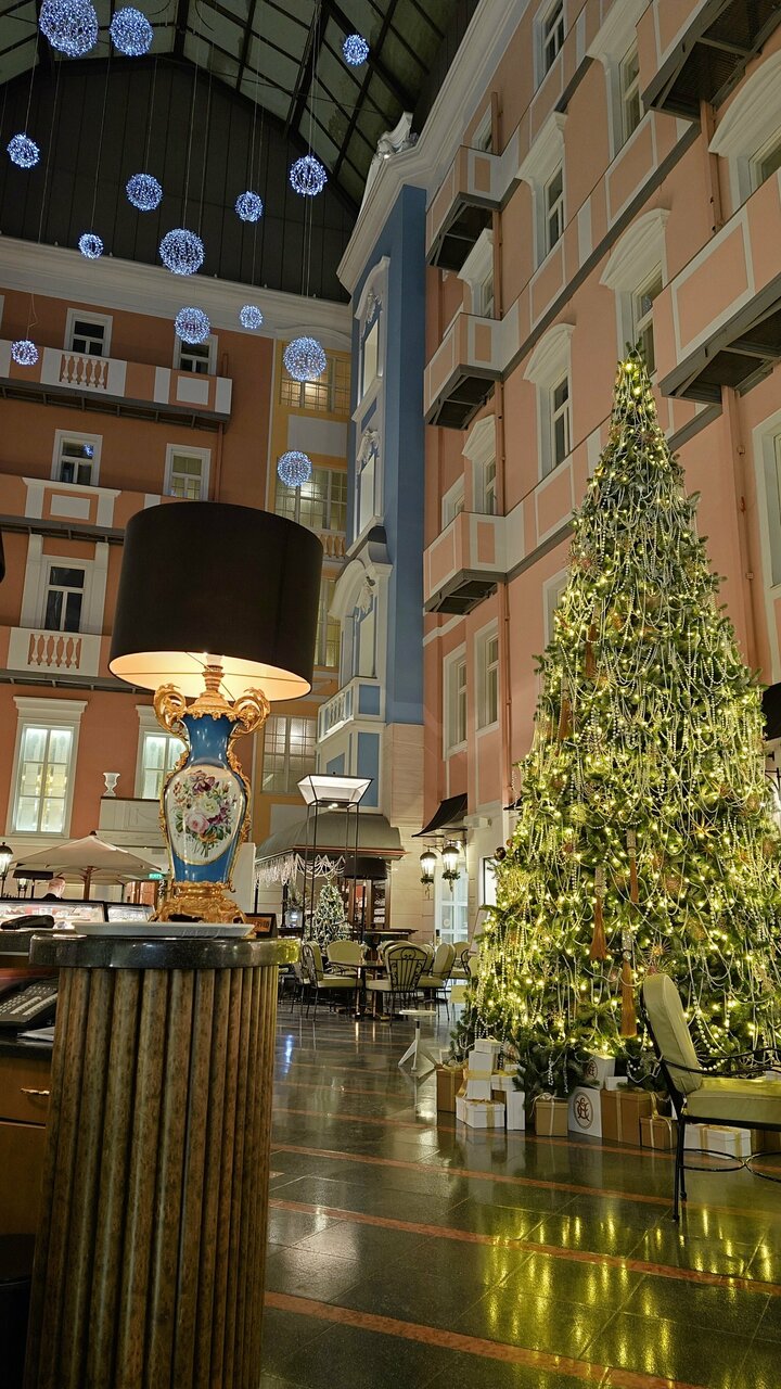 Гостиница Гранд Отель Европа Санкт-Петербург-185