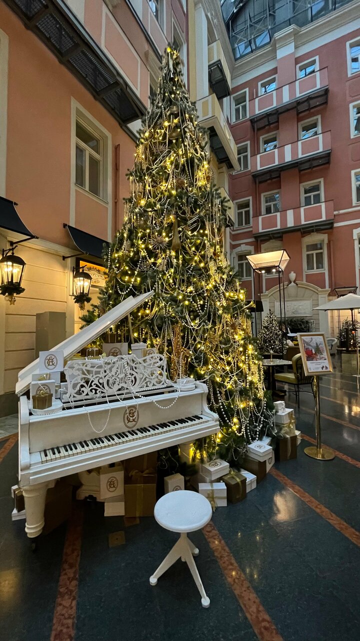 Гостиница Гранд Отель Европа Санкт-Петербург-194