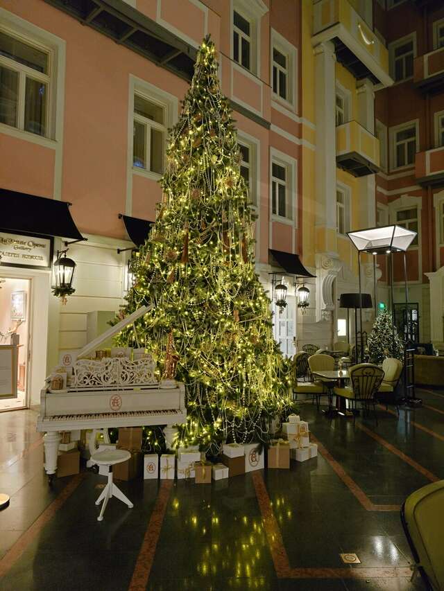 Гостиница Гранд Отель Европа Санкт-Петербург-222