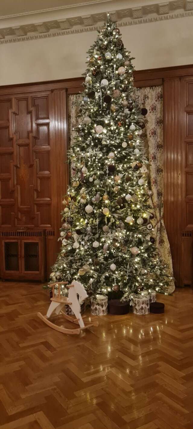 Гостиница Гранд Отель Европа Санкт-Петербург-103